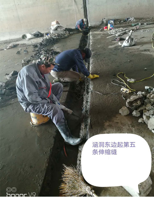 49518cm资料
