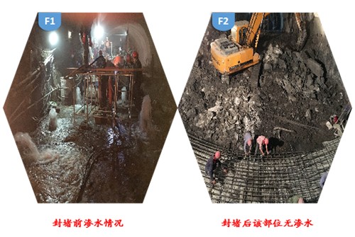 49518cm资料